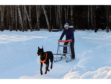 ������ ������ 2012 173.jpg