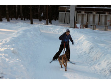 ������ ������ 2012 186.jpg