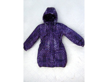 ������������ ������ �������, ���� ��������� �������.jpg