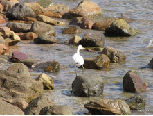 2011_10_13-����� 103.jpg