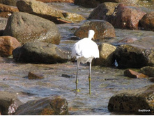 2011_10_13-����� 104.jpg