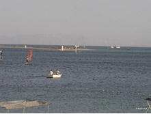 2011_10_13-����� 156.jpg