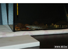 ���������� 1