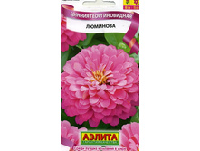 ������ �������� ��������������.jpg