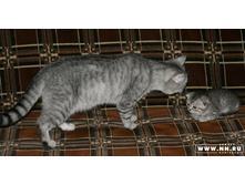 ���������� � �����