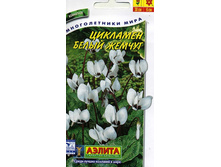 �������� ����� ������_29,10 ���.jpg