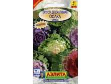 ������� ���. �����_13,10 ���.jpg