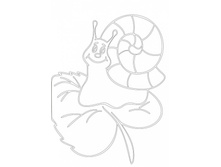 �5_������