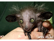 ��������� �����