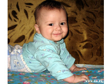 5 �������