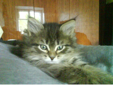 07.07.2010 13:23:38