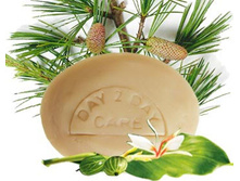 ����������� ���� DAY 2 DAY CARE.jpg