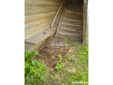 ��� ����