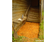 �������� ����� ��������