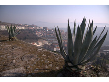 ������� �������� �� �����