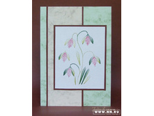 ���������� �������