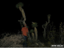 ������ ���