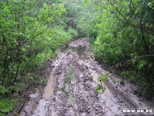 ����� ������� ���