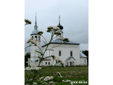 �������� �������