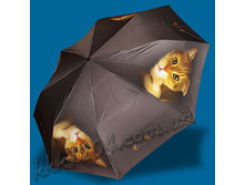 ����� ���.jpg