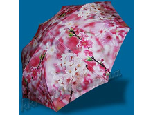 ������ �������.jpg