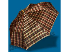 ������ ���-�����.jpg