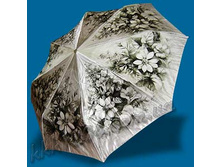 ����-����� �����.jpg