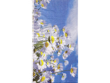 № 63  1/2 �������� 8  ���