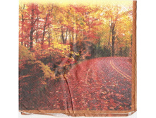 №70   1/4 ����   5 ���    