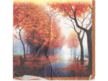 №70 ������   �������            1/4 ����