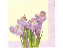 №72  1/4 ���� 8 ���