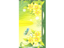 №74 1/2  ����  5 ���