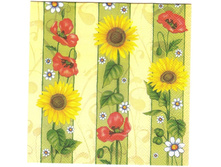 №75   1/4 10  ���