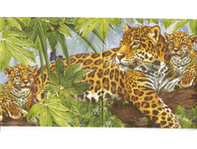 №76 1/2    ����   ���