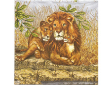 №77 ������  ������� 1/4          ���