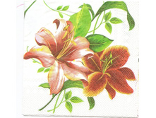 №86   1/4  10  ���