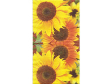 №96   1/2   ����   10 ���