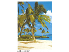 ���. 4-038 Hawaii   ����� �������� 194-270�� 4 �����   15,15����