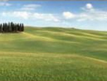 ���. Tuscany 4-715  ����� �������� 368-127 4 �����    15,15����