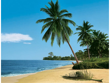 ���. 8-074 African Beach  ����� �������� 388-270�� 8 ������  22,1����