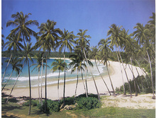 ���. 8-252 Cottegoda Bay    ����� �������� 368-254 8 ������    23,1����
