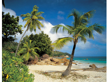 ���. 8-885 Praslin  ����� �������� 368-254 8 ������   22,1����