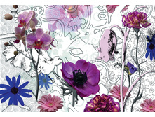 ���. 8-887 Purple  ����� �������� 368-254 8 ������      22,1����