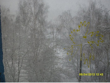 5 ������