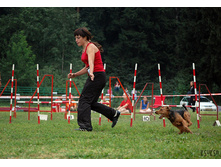 ��� � �����