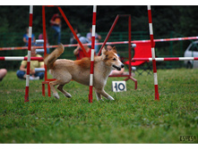 ���� ��������