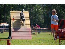 �������� � ����