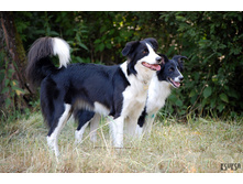 ����� � �����