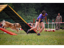 ������ � ���