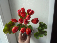  ��������� �rs. Charles